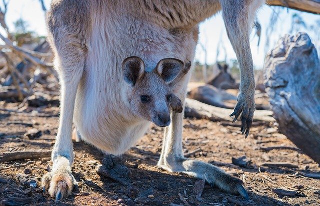 travel-western-Australia