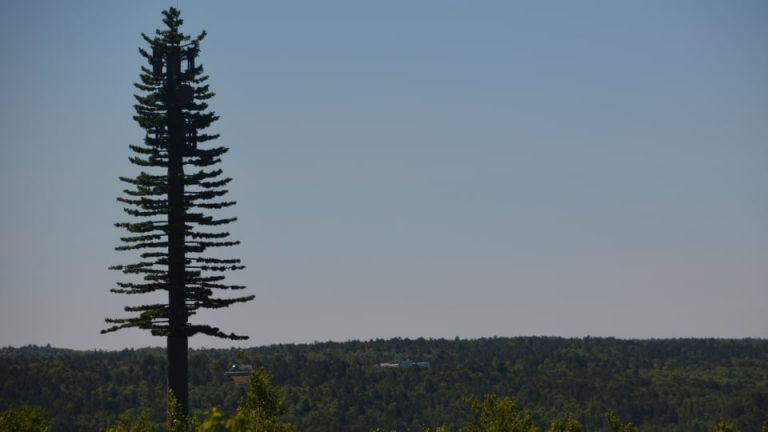 New conifer-shaped cell tower in Northern Ontario