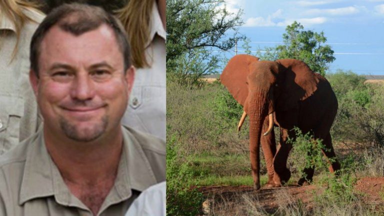 South African Big Game Hunter Dies, Crushed To Death By Elephant