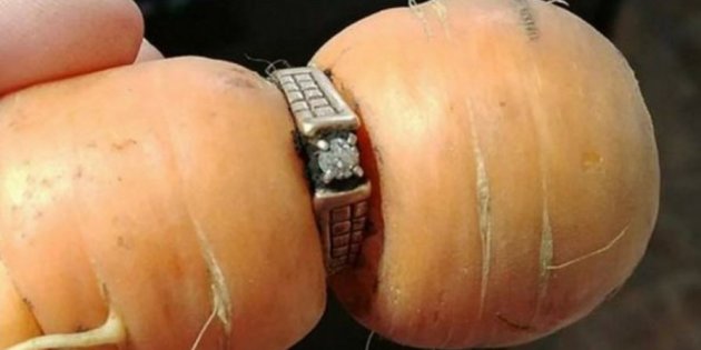 Woman finds long-lost diamond ring on carrot in her garden