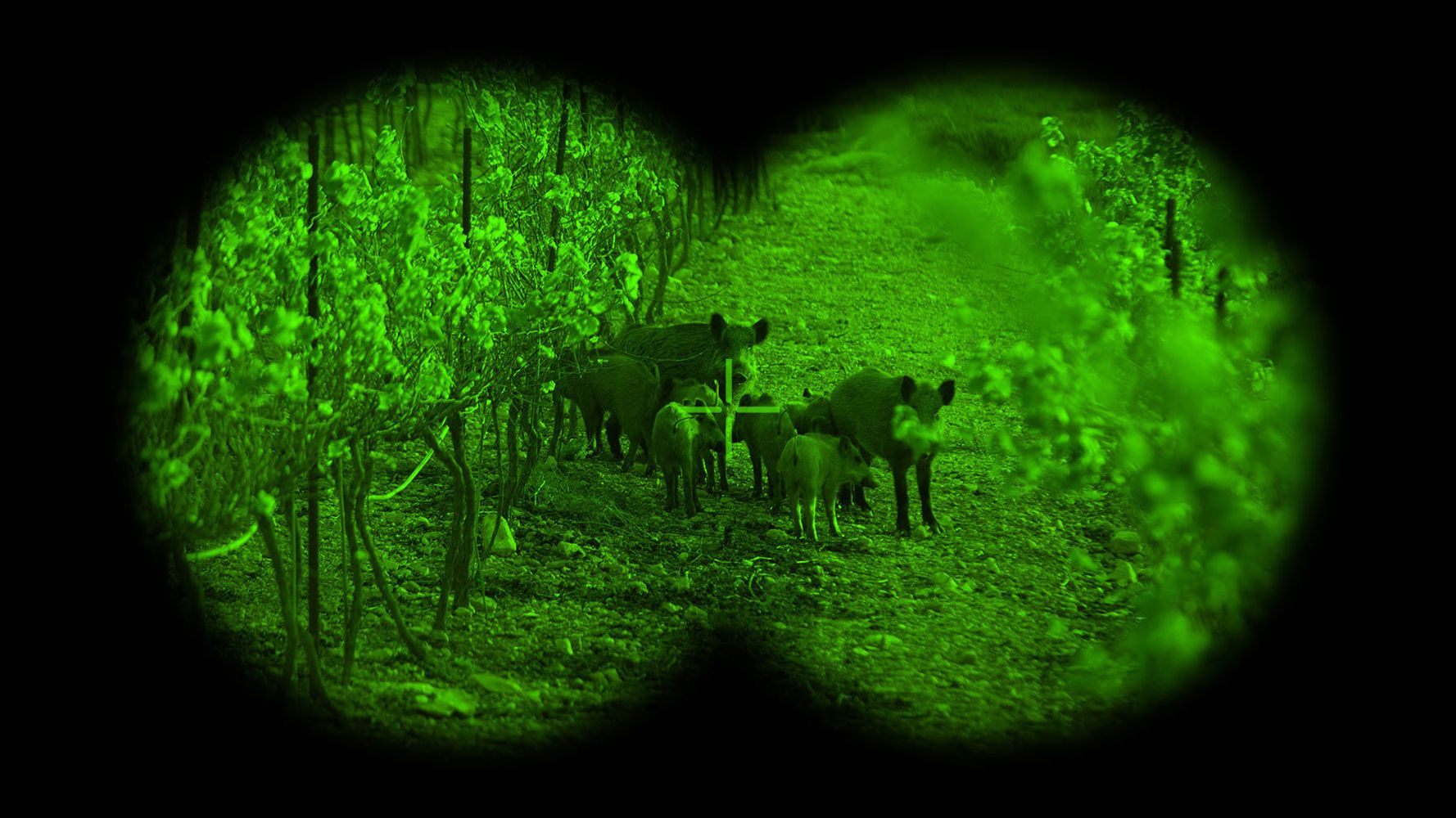 Best Night Vision