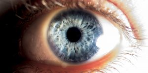 Test Using Donated Eye Tissue Provides Hope For Stem Cell Surgery